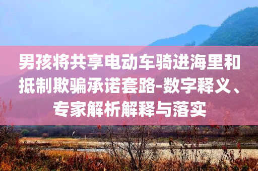 男孩將共享電動車騎進海里和抵制欺騙承諾套路-數(shù)字釋義、專家解析解釋與落實