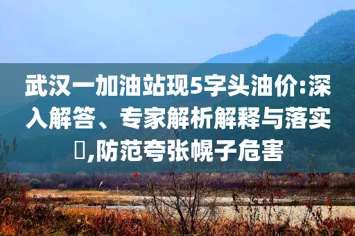 武漢一加油站現(xiàn)5字頭油價(jià):深入解答、專家解析解釋與落實(shí)?,防范夸張幌子危害