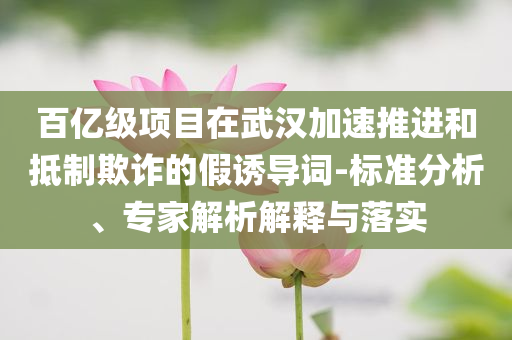 百億級項目在武漢加速推進和抵制欺詐的假誘導詞-標準分析、專家解析解釋與落實
