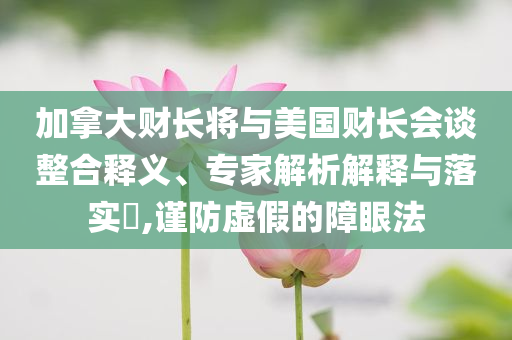 加拿大財(cái)長將與美國財(cái)長會談?wù)厢屃x、專家解析解釋與落實(shí)?,謹(jǐn)防虛假的障眼法