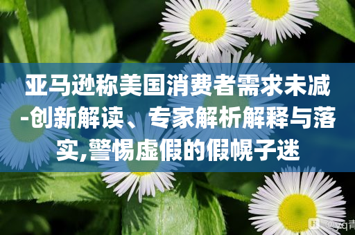 亞馬遜稱(chēng)美國(guó)消費(fèi)者需求未減-創(chuàng)新解讀、專(zhuān)家解析解釋與落實(shí),警惕虛假的假幌子迷
