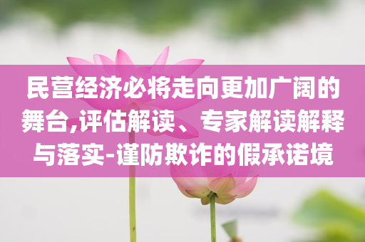 民營經(jīng)濟必將走向更加廣闊的舞臺,評估解讀、專家解讀解釋與落實-謹防欺詐的假承諾境