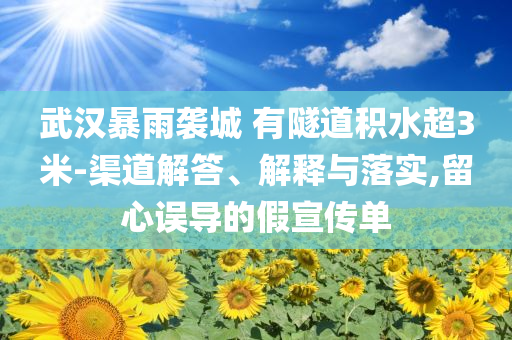 武漢暴雨襲城 有隧道積水超3米-渠道解答、解釋與落實(shí),留心誤導(dǎo)的假宣傳單
