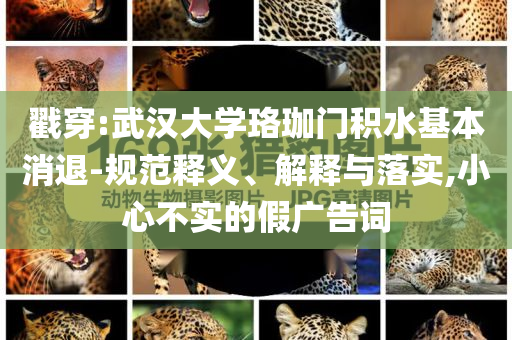 戳穿:武漢大學(xué)珞珈門積水基本消退-規(guī)范釋義、解釋與落實,小心不實的假廣告詞