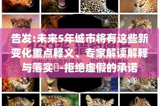 告發(fā):未來5年城市將有這些新變化重點釋義、專家解讀解釋與落實?-拒絕虛假的承諾