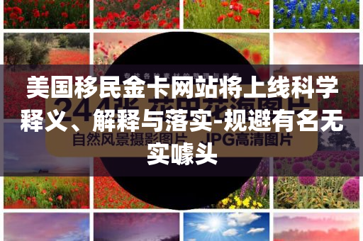 美國(guó)移民金卡網(wǎng)站將上線科學(xué)釋義、解釋與落實(shí)-規(guī)避有名無(wú)實(shí)噱頭