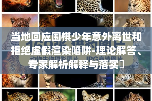 當(dāng)?shù)鼗貞?yīng)圍棋少年意外離世和拒絕虛假渲染陷阱-理論解答、專家解析解釋與落實(shí)?