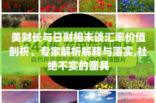 美財長與日財相未談匯率價值剖析、專家解析解釋與落實,杜絕不實的面具