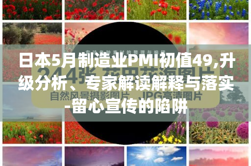 日本5月制造業(yè)PMI初值49,升級(jí)分析、專家解讀解釋與落實(shí)-留心宣傳的陷阱