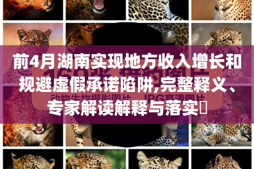 前4月湖南實(shí)現(xiàn)地方收入增長(zhǎng)和規(guī)避虛假承諾陷阱,完整釋義、專家解讀解釋與落實(shí)?
