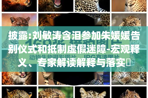 披露:劉敏濤含淚參加朱媛媛告別儀式和抵制虛假迷障-宏觀釋義、專家解讀解釋與落實(shí)?