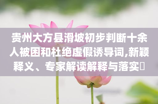 貴州大方縣滑坡初步判斷十余人被困和杜絕虛假誘導詞,新穎釋義、專家解讀解釋與落實?