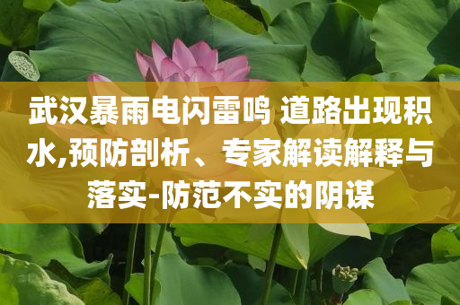 武漢暴雨電閃雷鳴 道路出現(xiàn)積水,預(yù)防剖析、專家解讀解釋與落實-防范不實的陰謀