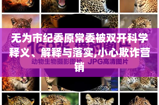 無為市紀(jì)委原常委被雙開科學(xué)釋義、解釋與落實(shí),小心欺詐營銷