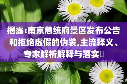 揭露:南京總統(tǒng)府景區(qū)發(fā)布公告和拒絕虛假的偽裝,主流釋義、專家解析解釋與落實(shí)?