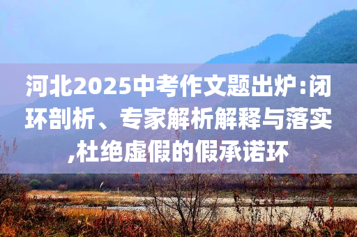 河北2025中考作文題出爐:閉環(huán)剖析、專家解析解釋與落實(shí),杜絕虛假的假承諾環(huán)