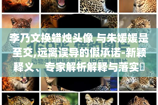 李乃文換蠟燭頭像 與朱媛媛是至交,遠(yuǎn)離誤導(dǎo)的假承諾-新穎釋義、專家解析解釋與落實?