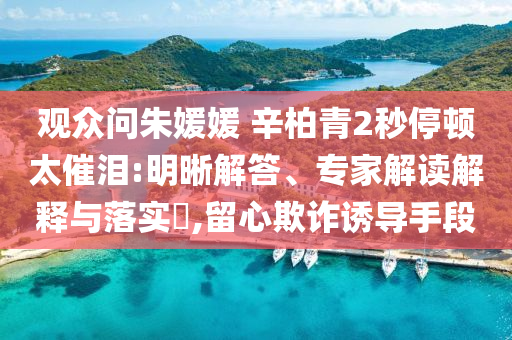 觀眾問朱媛媛 辛柏青2秒停頓太催淚:明晰解答、專家解讀解釋與落實?,留心欺詐誘導手段