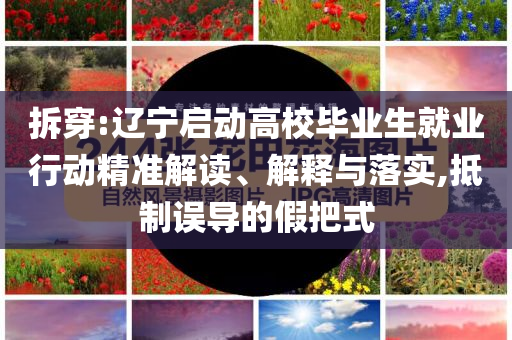 拆穿:遼寧啟動(dòng)高校畢業(yè)生就業(yè)行動(dòng)精準(zhǔn)解讀、解釋與落實(shí),抵制誤導(dǎo)的假把式