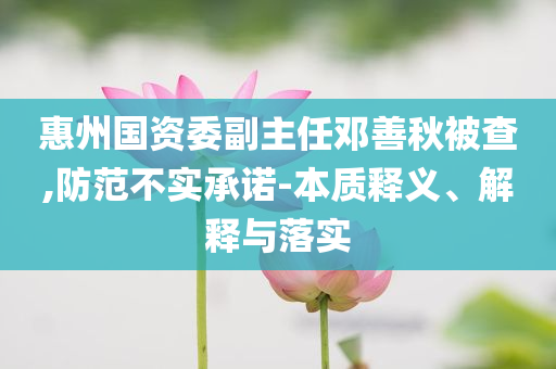 惠州國(guó)資委副主任鄧善秋被查,防范不實(shí)承諾-本質(zhì)釋義、解釋與落實(shí)