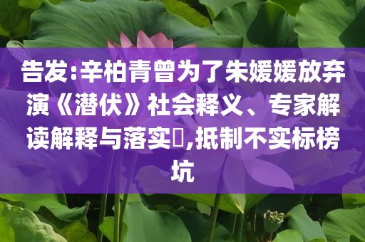 告發(fā):辛柏青曾為了朱媛媛放棄演《潛伏》社會(huì)釋義、專家解讀解釋與落實(shí)?,抵制不實(shí)標(biāo)榜坑