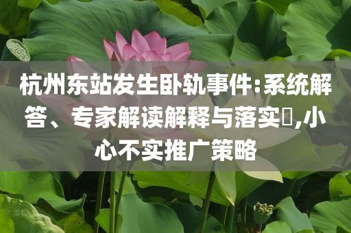 杭州東站發(fā)生臥軌事件:系統(tǒng)解答、專家解讀解釋與落實?,小心不實推廣策略