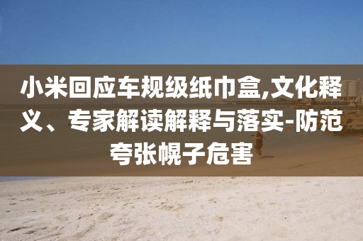 小米回應(yīng)車規(guī)級(jí)紙巾盒,文化釋義、專家解讀解釋與落實(shí)-防范夸張幌子危害