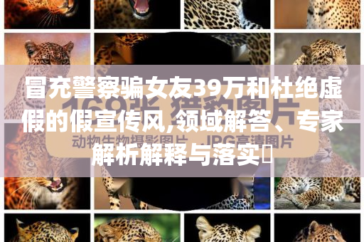 冒充警察騙女友39萬和杜絕虛假的假宣傳風(fēng),領(lǐng)域解答、專家解析解釋與落實(shí)?