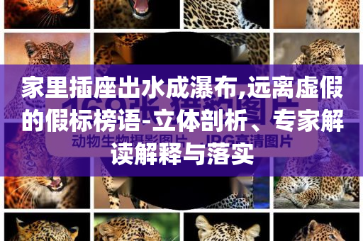 家里插座出水成瀑布,遠(yuǎn)離虛假的假標(biāo)榜語-立體剖析、專家解讀解釋與落實(shí)