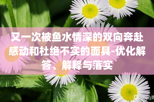 又一次被魚水情深的雙向奔赴感動(dòng)和杜絕不實(shí)的面具-優(yōu)化解答、解釋與落實(shí)