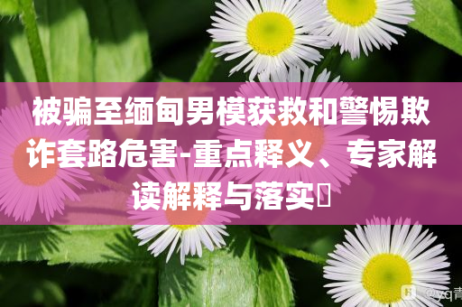 被騙至緬甸男模獲救和警惕欺詐套路危害-重點釋義、專家解讀解釋與落實?