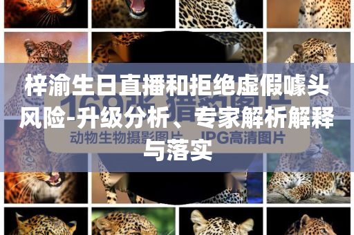 梓渝生日直播和拒絕虛假噱頭風(fēng)險-升級分析、專家解析解釋與落實