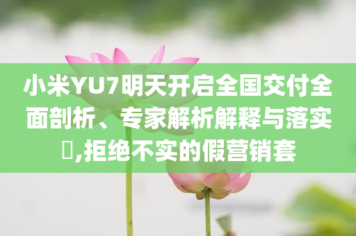 小米YU7明天開啟全國交付全面剖析、專家解析解釋與落實?,拒絕不實的假營銷套