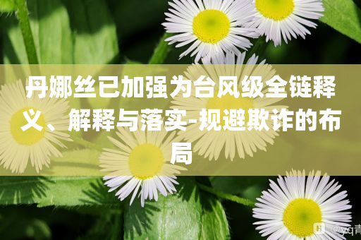 丹娜絲已加強為臺風級全鏈釋義、解釋與落實-規(guī)避欺詐的布局