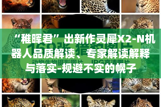 “稚暉君”出新作靈犀X2-N機(jī)器人品質(zhì)解讀、專家解讀解釋與落實(shí)-規(guī)避不實(shí)的幌子