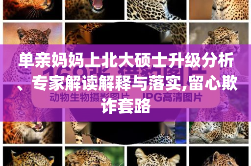 單親媽媽上北大碩士升級分析、專家解讀解釋與落實,留心欺詐套路