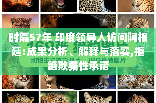 時隔57年 印度領(lǐng)導(dǎo)人訪問阿根廷:成果分析、解釋與落實,拒絕欺騙性承諾