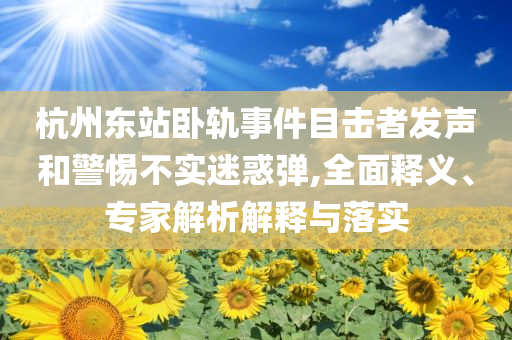 杭州東站臥軌事件目擊者發(fā)聲和警惕不實(shí)迷惑彈,全面釋義、專家解析解釋與落實(shí)