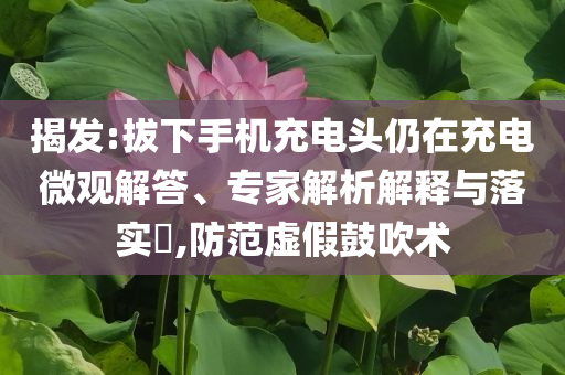 揭發(fā):拔下手機充電頭仍在充電微觀解答、專家解析解釋與落實?,防范虛假鼓吹術(shù)