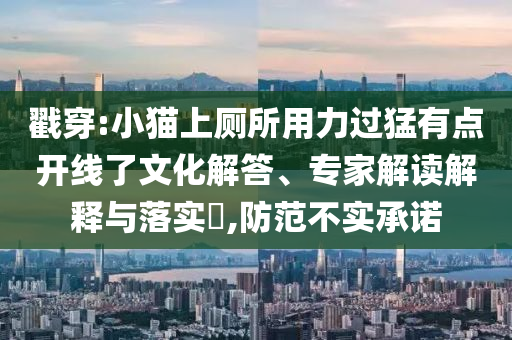 戳穿:小貓上廁所用力過(guò)猛有點(diǎn)開線了文化解答、專家解讀解釋與落實(shí)?,防范不實(shí)承諾