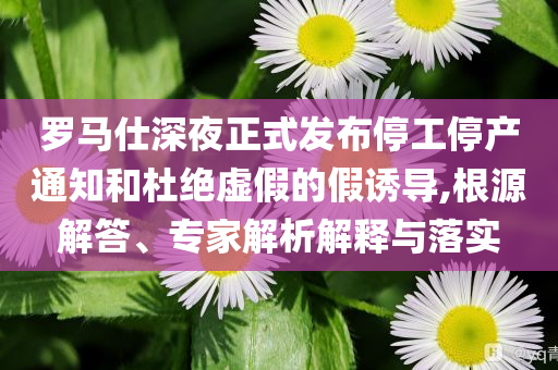 羅馬仕深夜正式發(fā)布停工停產(chǎn)通知和杜絕虛假的假誘導(dǎo),根源解答、專家解析解釋與落實(shí)
