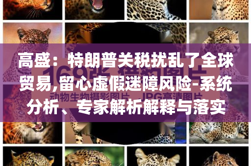 高盛：特朗普關(guān)稅擾亂了全球貿(mào)易,留心虛假迷障風(fēng)險-系統(tǒng)分析、專家解析解釋與落實(shí)