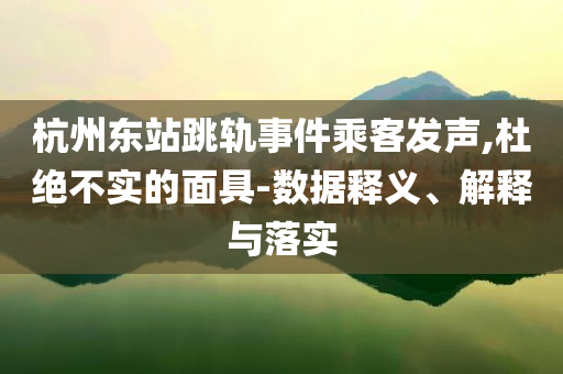 杭州東站跳軌事件乘客發(fā)聲,杜絕不實(shí)的面具-數(shù)據(jù)釋義、解釋與落實(shí)