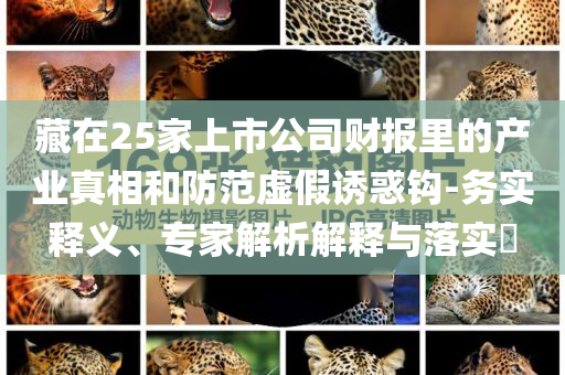 藏在25家上市公司財(cái)報(bào)里的產(chǎn)業(yè)真相和防范虛假誘惑鉤-務(wù)實(shí)釋義、專家解析解釋與落實(shí)?