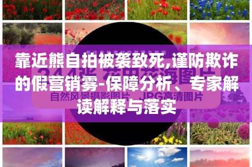 靠近熊自拍被襲致死,謹(jǐn)防欺詐的假營(yíng)銷霧-保障分析、專家解讀解釋與落實(shí)