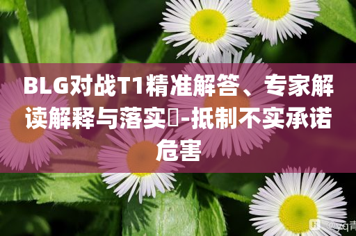 BLG對戰(zhàn)T1精準(zhǔn)解答、專家解讀解釋與落實?-抵制不實承諾危害