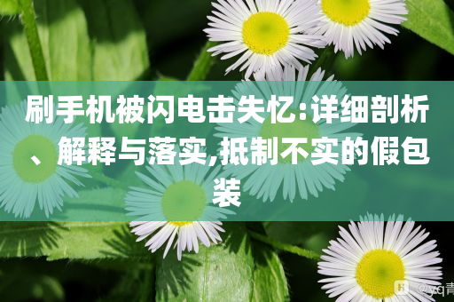 刷手機(jī)被閃電擊失憶:詳細(xì)剖析、解釋與落實(shí),抵制不實(shí)的假包裝