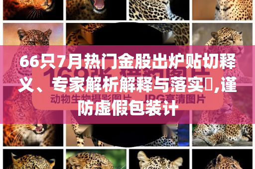 66只7月熱門金股出爐貼切釋義、專家解析解釋與落實?,謹(jǐn)防虛假包裝計