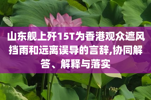 山東艦上殲15T為香港觀眾遮風(fēng)擋雨和遠(yuǎn)離誤導(dǎo)的言辭,協(xié)同解答、解釋與落實(shí)