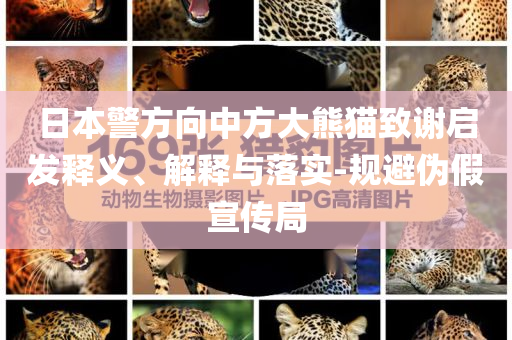 日本警方向中方大熊貓致謝啟發(fā)釋義、解釋與落實(shí)-規(guī)避偽假宣傳局